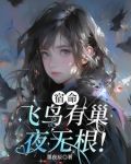 飞鸟宿何处什么意思