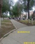 爱去跳舞的生活文案