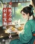 穿越到架空朝代的小说