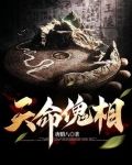 天命傀相女主