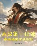 汉朝出使西域的是谁