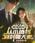 官场游龙记