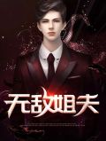 无敌姐夫秦叶轩苏冰颜小说