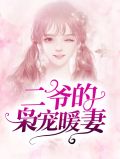 二爷的独宠小萌妻