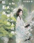 综影视一章一个故事的小说